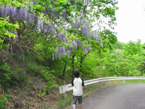 生出八幡神社から続いている舗装道路を歩く