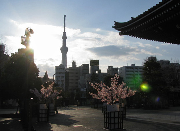 浅草寺から見る東京スカイツリー