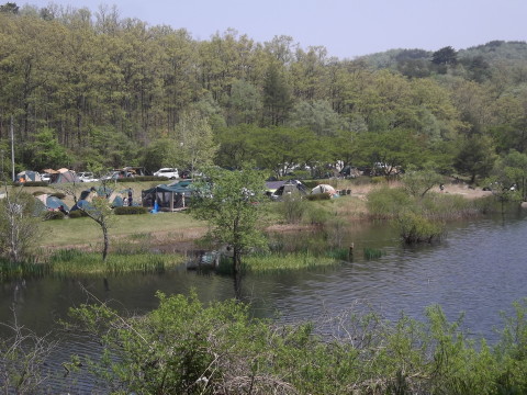 牛野ダムキャンプ場のテントサイト