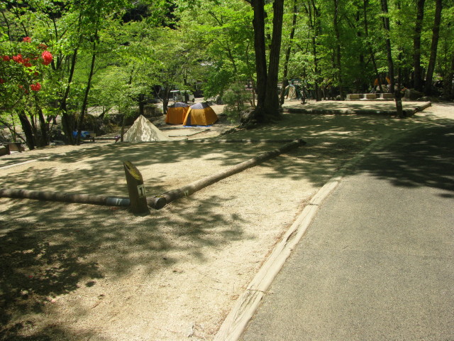 第2キャンプ場のテントサイト