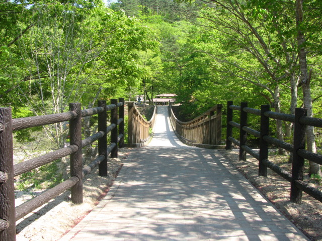 不動尊公園キャンプ場の川に掛かる吊り橋