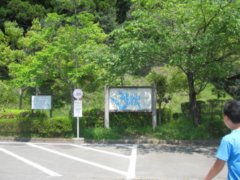 大亀山森林公園の駐車場を歩く息子