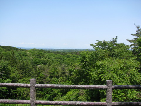 大亀山森林公園の管理棟近くから見た景色