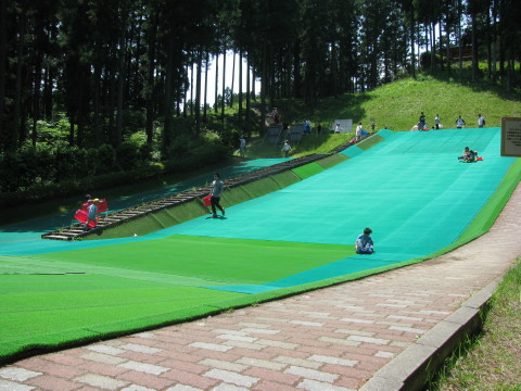 大亀山森林公園の人工芝ソリ滑りをする場所