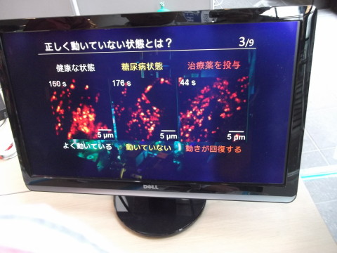 細胞の動きを見る実験