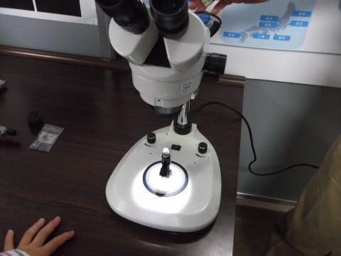 インジェクターの噴孔を顕微鏡で見る