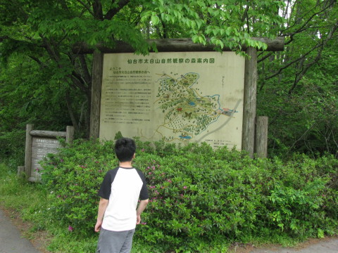 「自然観察の森」入口にある案内看板