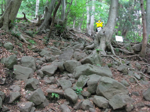 太白山山頂付近の岩場を歩く