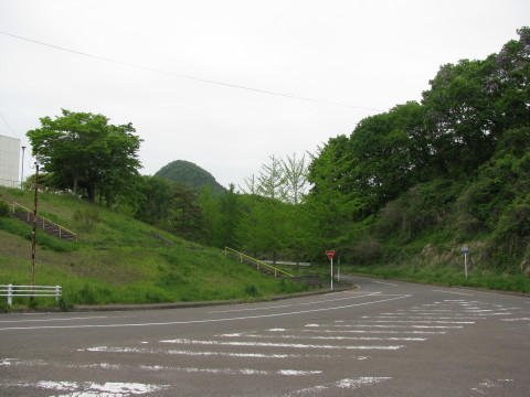 自然観察の森の近くを歩く