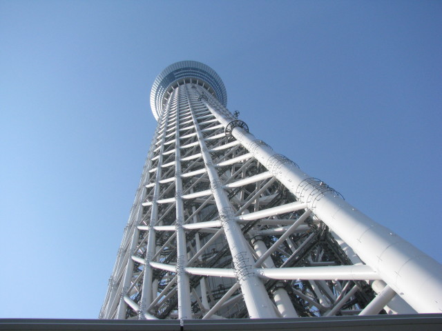 真下から見る東京スカイツリー