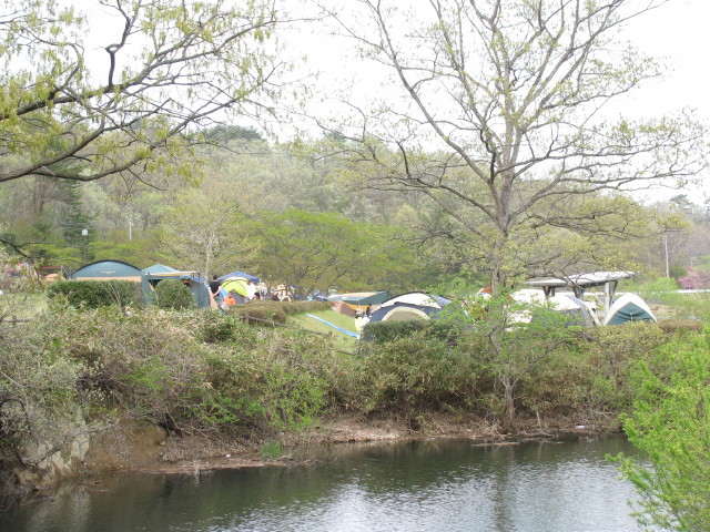 牛野ダムキャンプ場