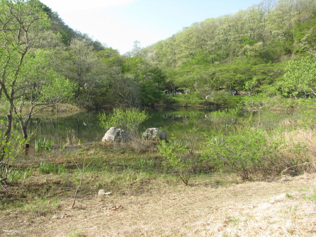 ダム周辺の景色