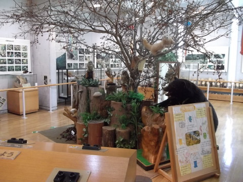 秋保ビジターセンター内