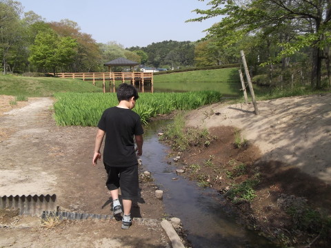 万葉クリエートパークの水辺を歩く