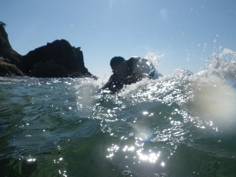 笹川流れの海で水中写真撮影に挑戦！
