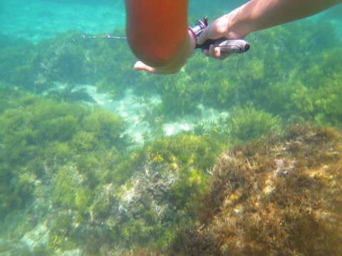 水中釣りの途中