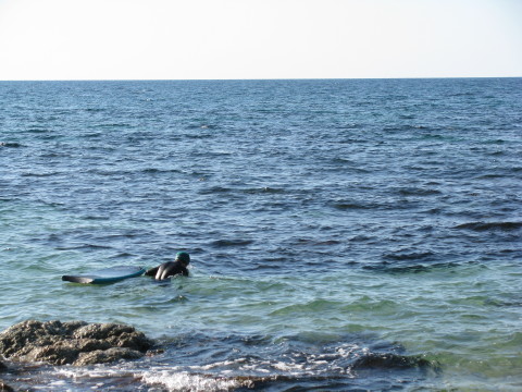笹川流れの海でシュノーケリングを楽しむ息子