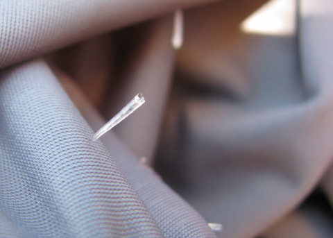 ラッシュガードに刺さっているトゲの拡大写真