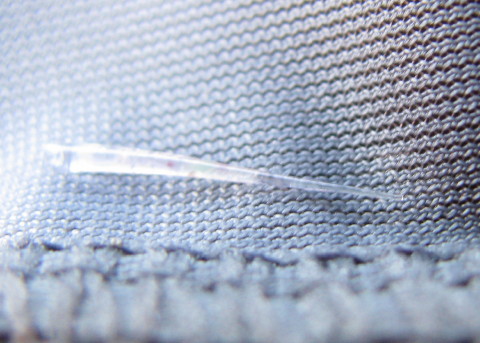 トゲの超拡大写真