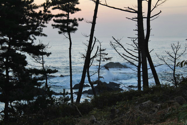 神割崎キャンプ場から見る海
