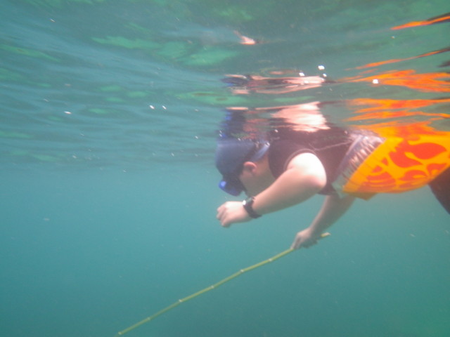 水中釣りに夢中の息子