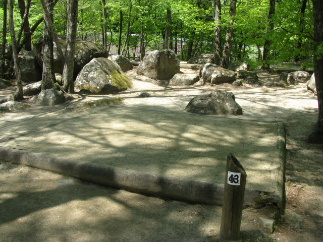 テント設営前のテントサイト