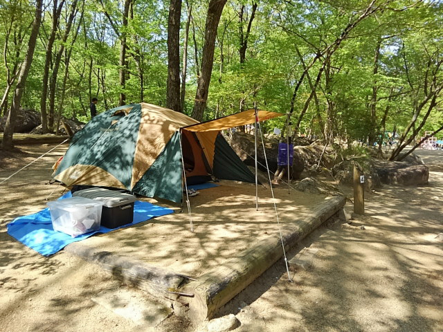 テント設営完了！
