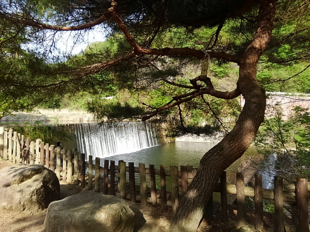 キャンプ場から見える川の風景