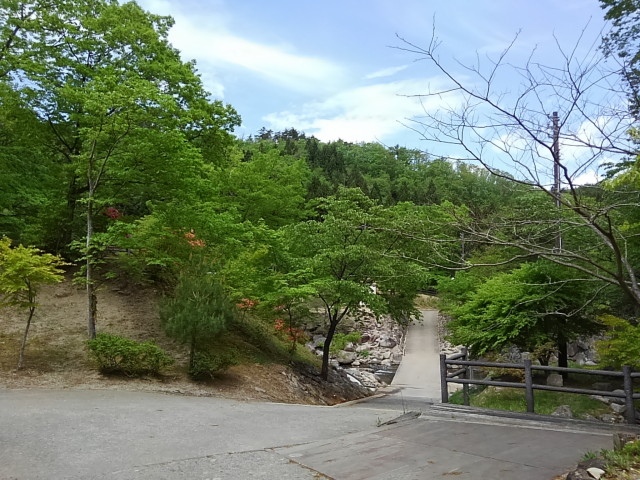 第一キャンプ場を過ぎた、川へ続く下り坂