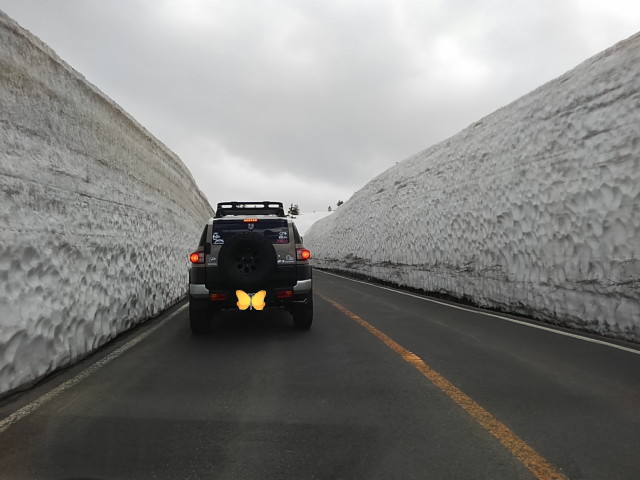 雪の回廊を走る