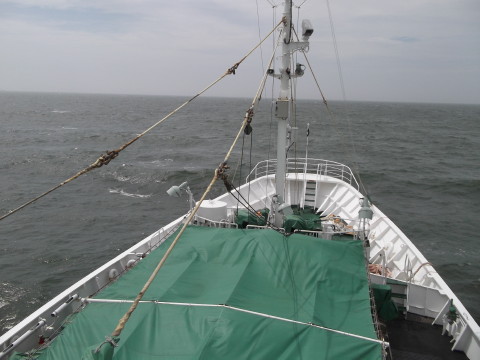 石巻港を出ると，波とうねりがすごかった