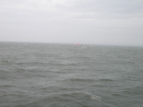 遠くの船も大きく揺れてる