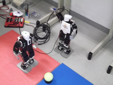 ２足歩行ロボットの展示