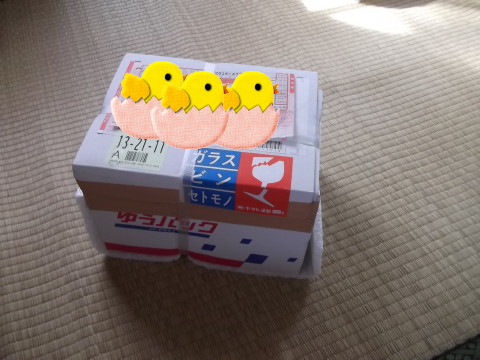 我が家に届いた郵パック