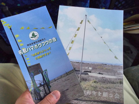 「名取ハマボウフウの会」のパンフレット