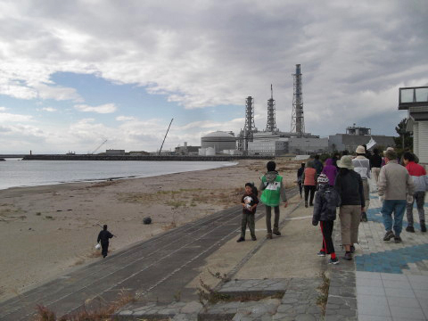 ハマボウフウの種を植える砂浜を歩く