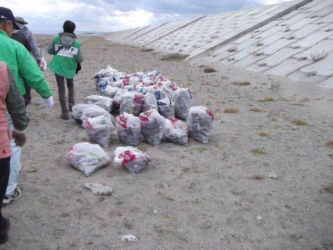 ハマボウフウ保護区の脇に置かれた，清掃活動後のごみ袋