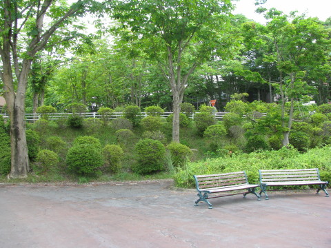 宮城教育大学の広場