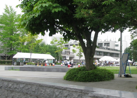 サイエンスデイ会場の東北大学川内キャンパス