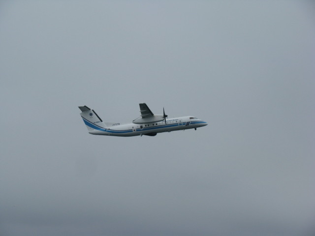 仙台航空基地所属の「おおたか」