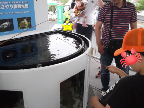 アクアマリン福島の移動水族館で餌やり体験