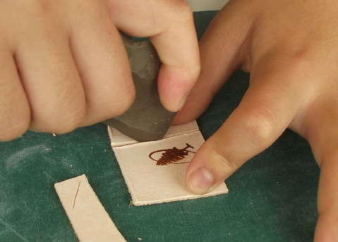 石器を使って革を切る作業