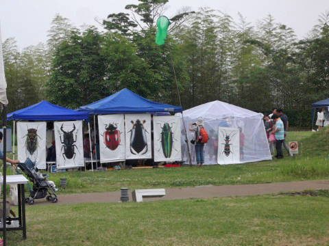 「いどうこんちゅうかん」のブース