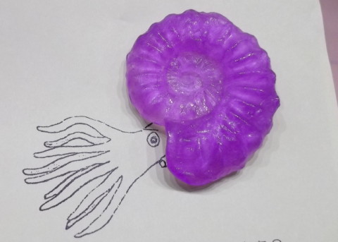 「おゆまる」で成型したアンモナイトの化石レプリカ