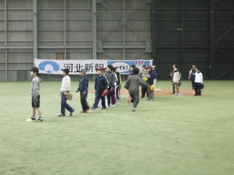 生き残りノック，継続中･･･。