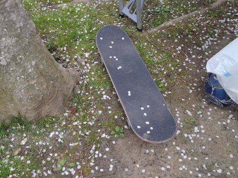 スケートボードに桜の花びらが･･･。
