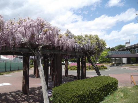 グリーンピア岩沼のホテル モンタナリゾート前