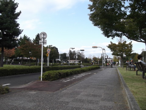 南小泉交通公園内の道路