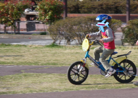 一人で自転車に乗れるようになった息子