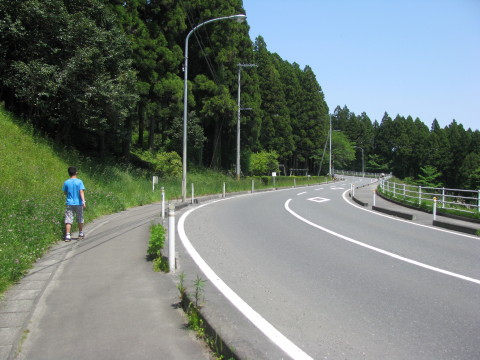 大亀山森林公園の駐車場からアスレチックフィールドを目指して歩く